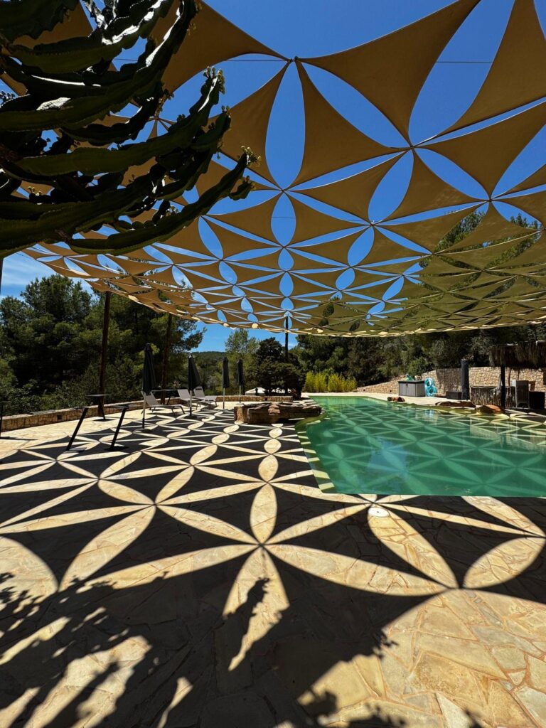 f8caa2a8-7662-457f-b0ed-57a2a9c3f78c