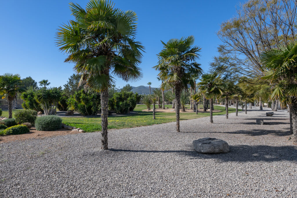 CanSinatra_VIVibiza-61