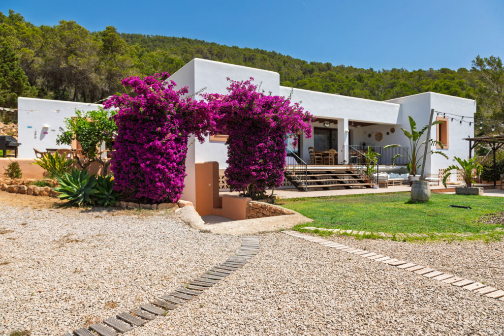 PEACOCK-PARADISE_04 kopie