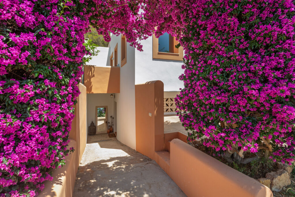 PEACOCK-PARADISE_12 kopie