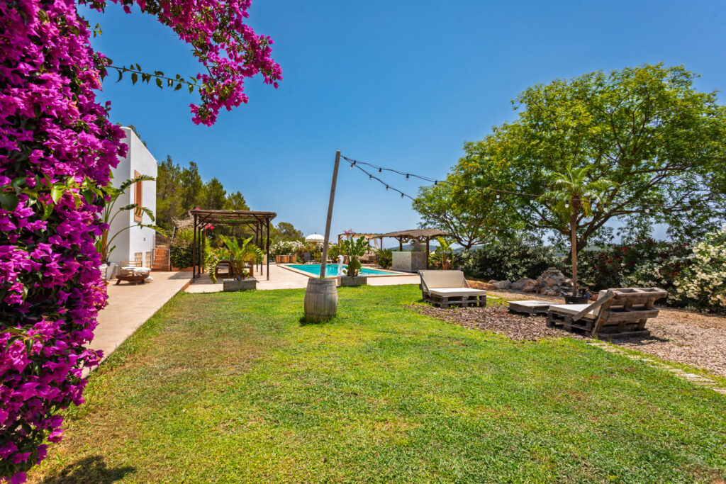 PEACOCK-PARADISE_13 kopie