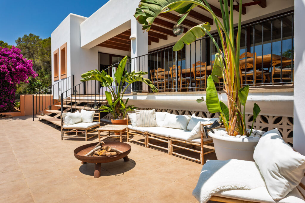 PEACOCK-PARADISE_19 kopie