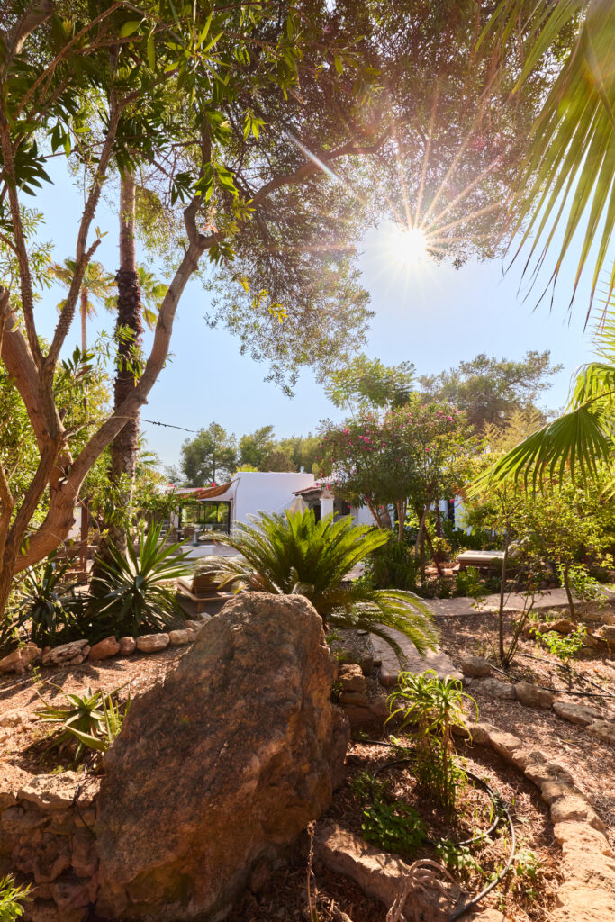 Garden 6 - Can Pardis