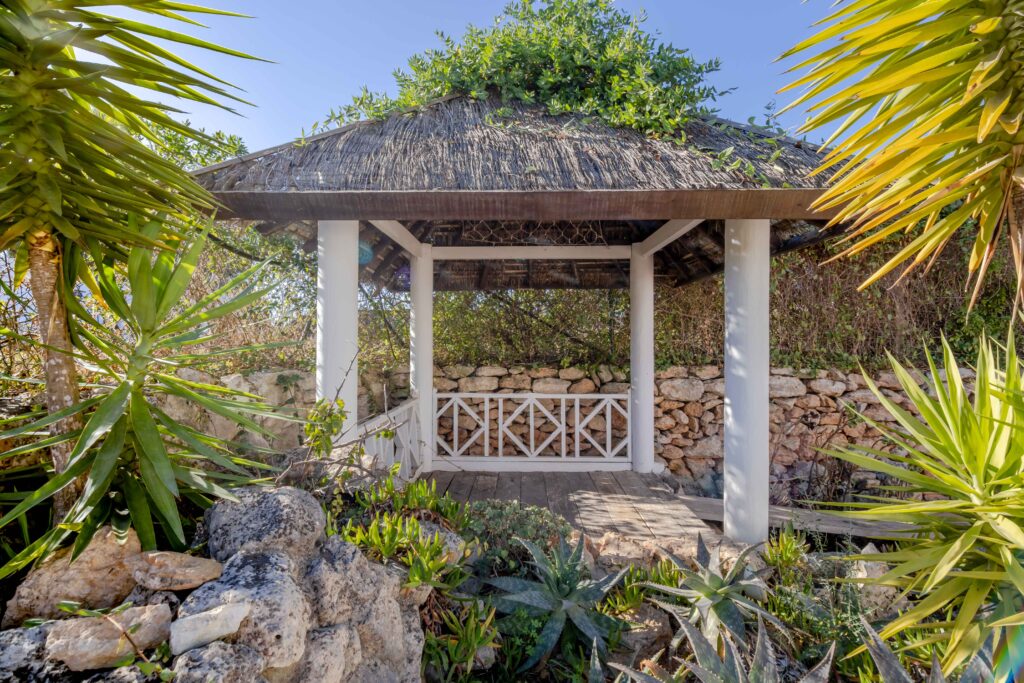 20231229124537000000_17IMG5239-HDR