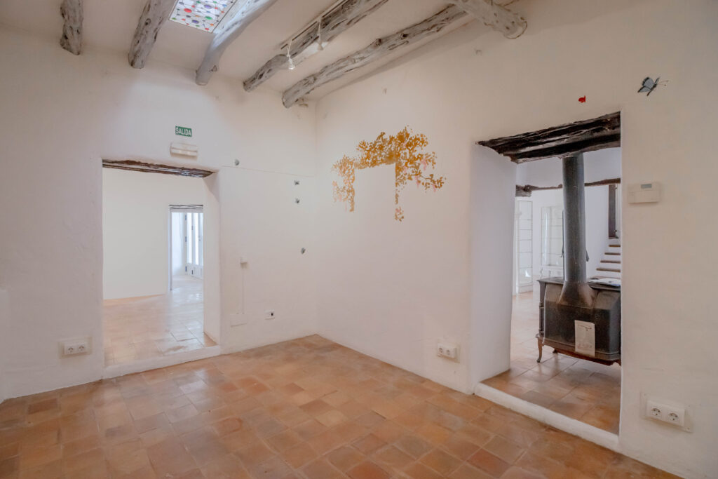 20231229124538000000_38IMG5281-HDR